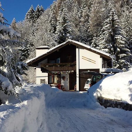 Orizzonti Montani Apartamento Pieve di Cadore Exterior foto