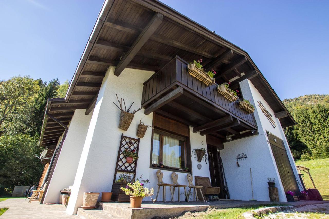 Orizzonti Montani Apartamento Pieve di Cadore Exterior foto