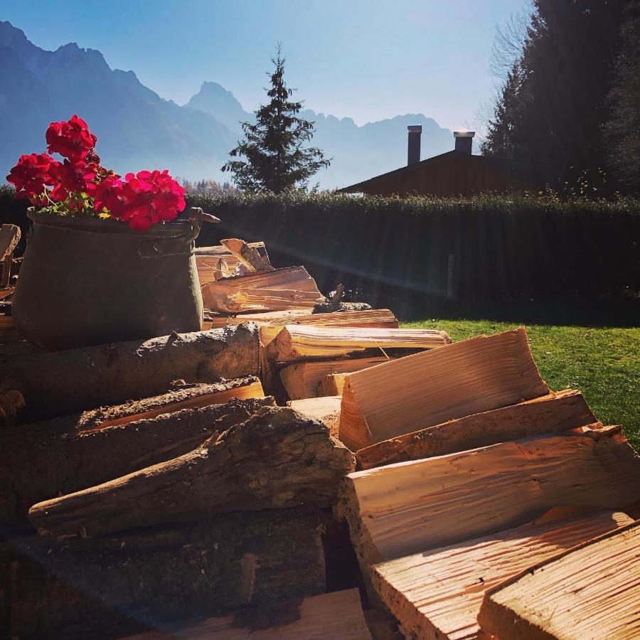 Orizzonti Montani Apartamento Pieve di Cadore Exterior foto
