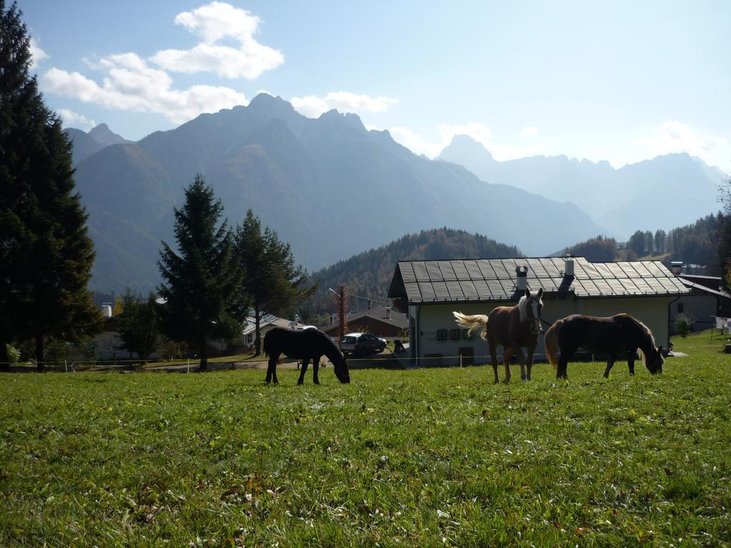 Orizzonti Montani Apartamento Pieve di Cadore Exterior foto