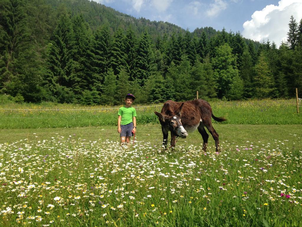 Orizzonti Montani Apartamento Pieve di Cadore Exterior foto