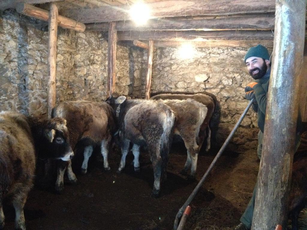 Orizzonti Montani Apartamento Pieve di Cadore Exterior foto