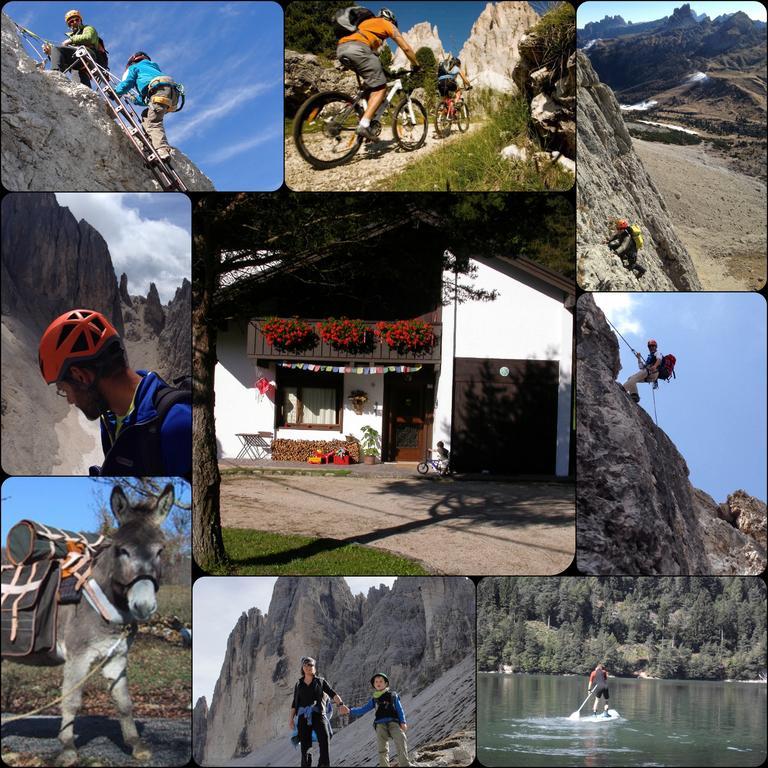 Orizzonti Montani Apartamento Pieve di Cadore Exterior foto