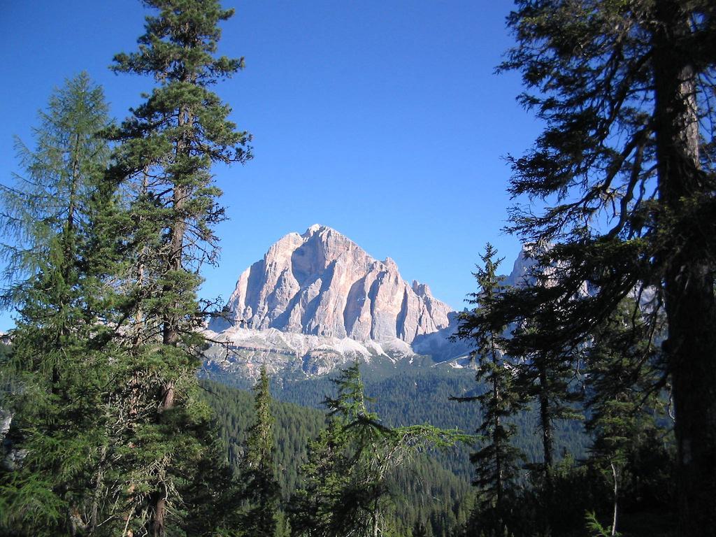 Orizzonti Montani Apartamento Pieve di Cadore Exterior foto