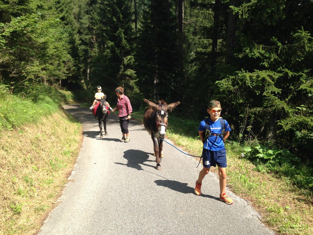 Orizzonti Montani Apartamento Pieve di Cadore Exterior foto
